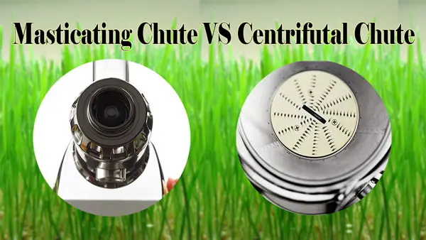 masticating chute vs centrifugal chute - best juicer for wheatgrass, Juicer Portal