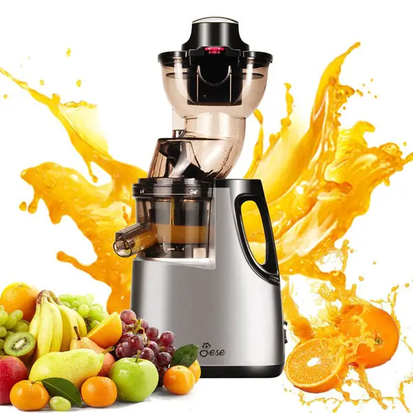 JESE JS-500A Juicer Review